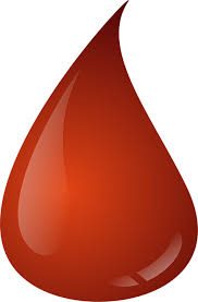 Don du sang : jeudi 31 janvier 2019