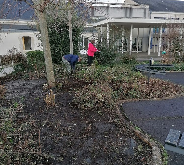 Un jardin japonais en cours de création…