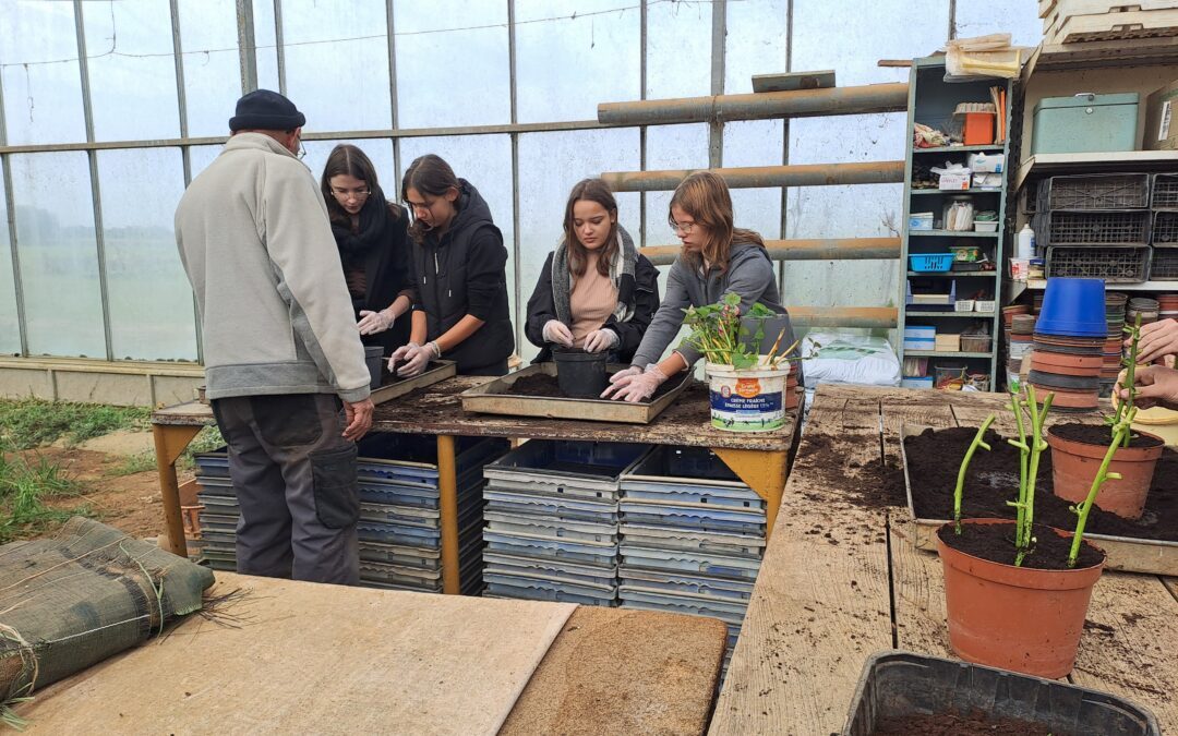 Sortie des 1CAP aux Amis de la solidarité et de l’insertion à Luçon